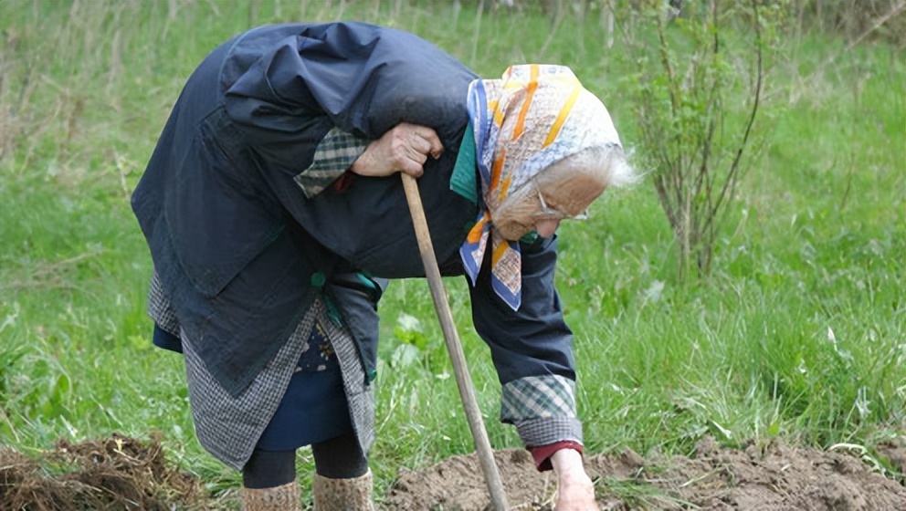 老年身高会变矮和细胞缩水有关吗,人变老会矮多少