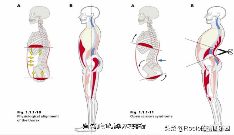 袁泉短发怎么减肥,袁泉瘦