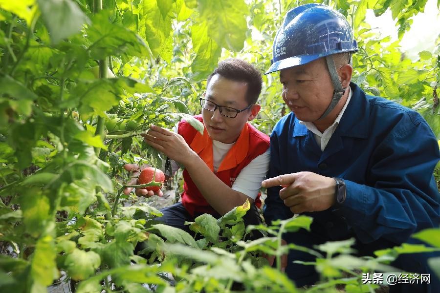 国网山西朔州供电公司：弘扬传承“右玉精神”铸造新时代服务品牌