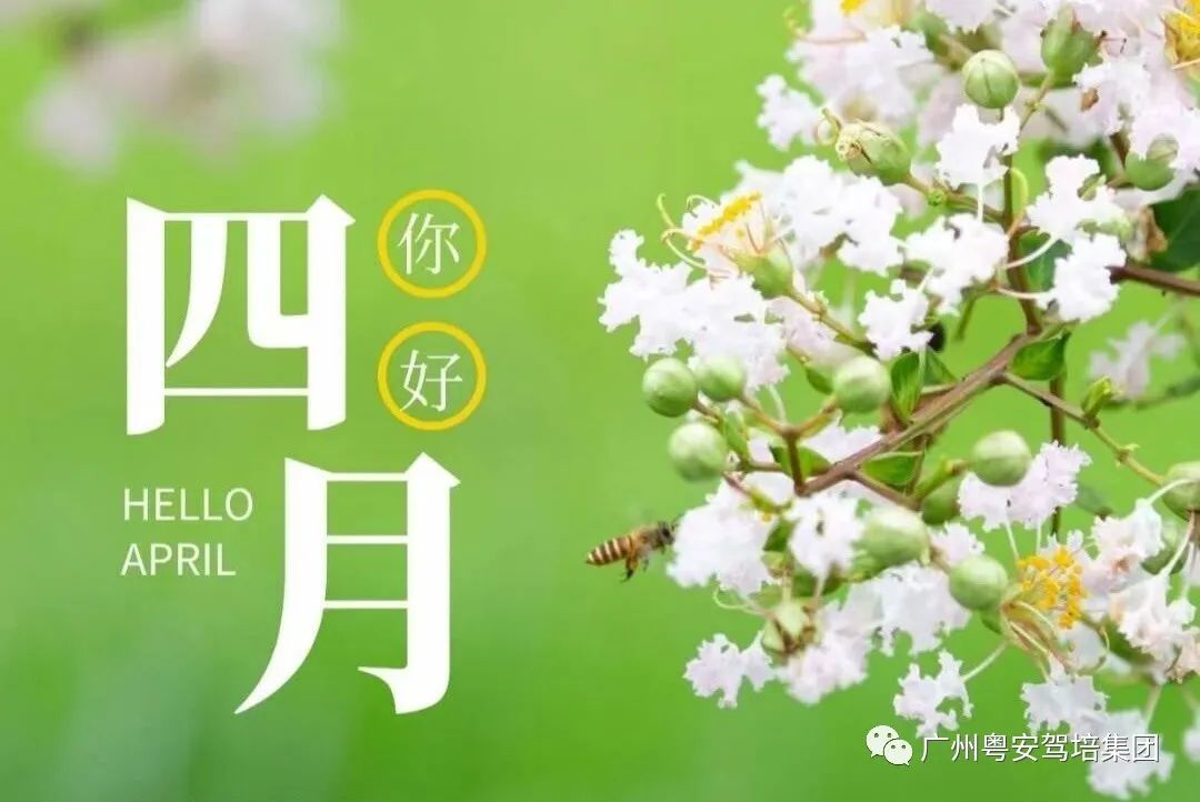 广州市粤安驾校怎么样,广州粤安驾校白云优惠团购