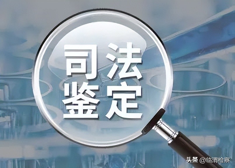 医疗司法鉴定陈述材料,车损司法鉴定准备材料