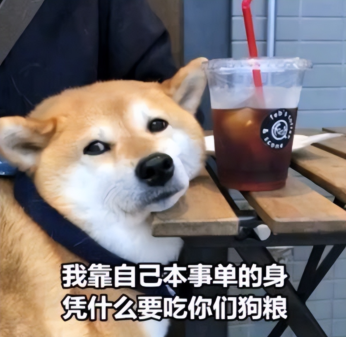 情人节把女朋友的购物车全部买了,情人节过完了收到礼物的人开心