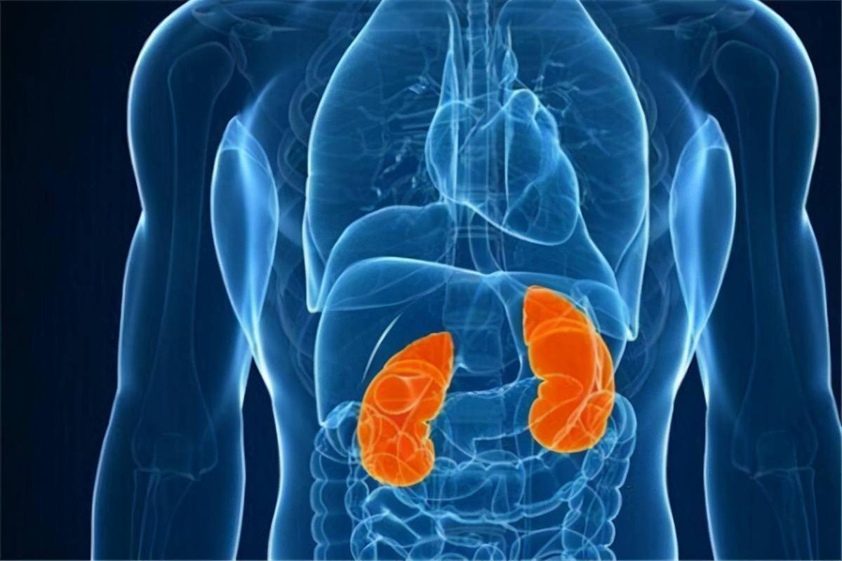 6种出汗暗示身体有大问题,4个部位出汗或暗示身体出问题了