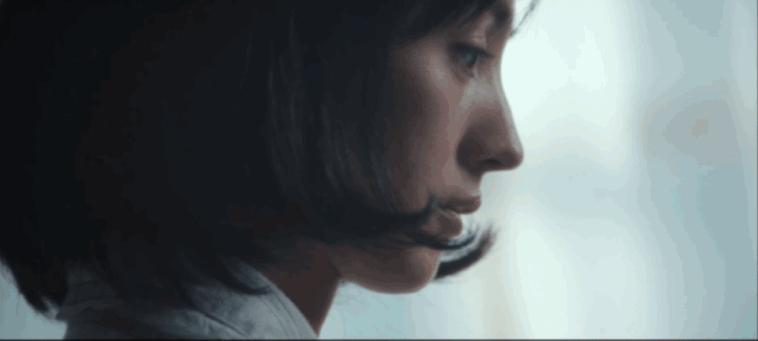 这cp太好磕,这cp感绝了