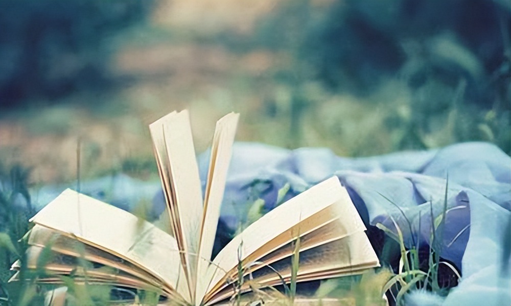 怎么写吸引人的评论文案,怎么写出吸引人的荐书稿