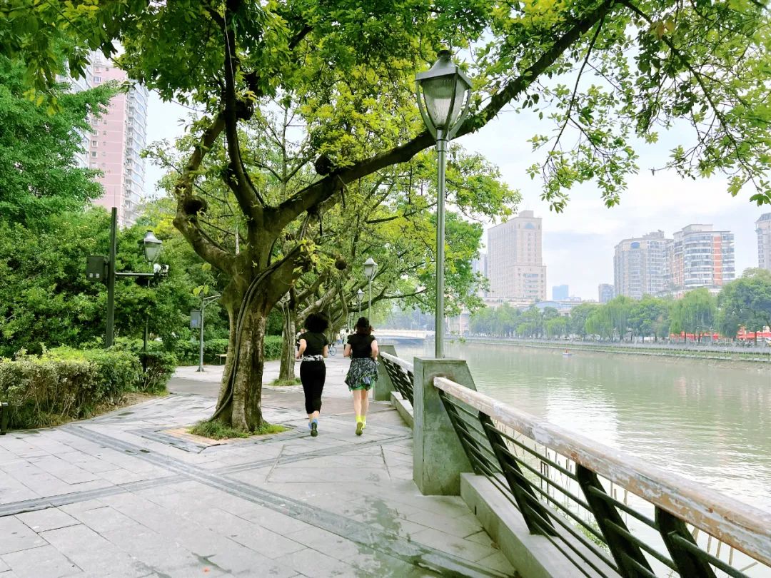 生活在公园城市,生活在公园城市里