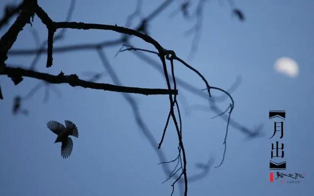 诗经陈风月出原文赏析,诗经陈风月出正确读音