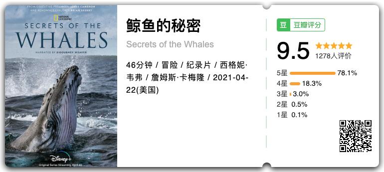 豆瓣排名第五摄人心魄的好片,豆瓣8.6分今年看过最良心的电影