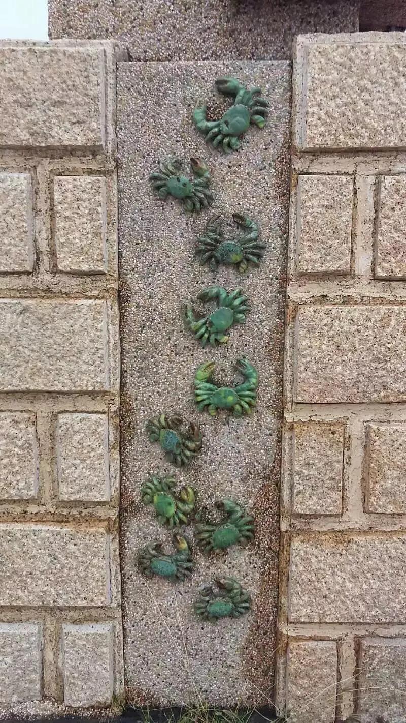 9块9的普洱茶到底差在哪,9块9包邮的普洱茶