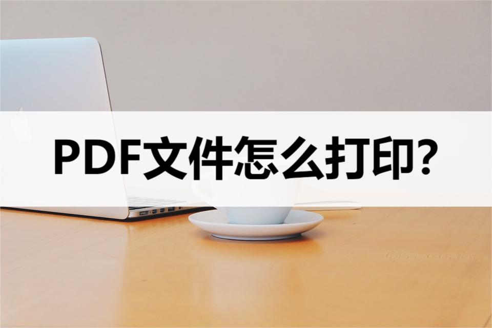pdf文件可以直接打印吗怎么操作,pdf文件怎么打印视频