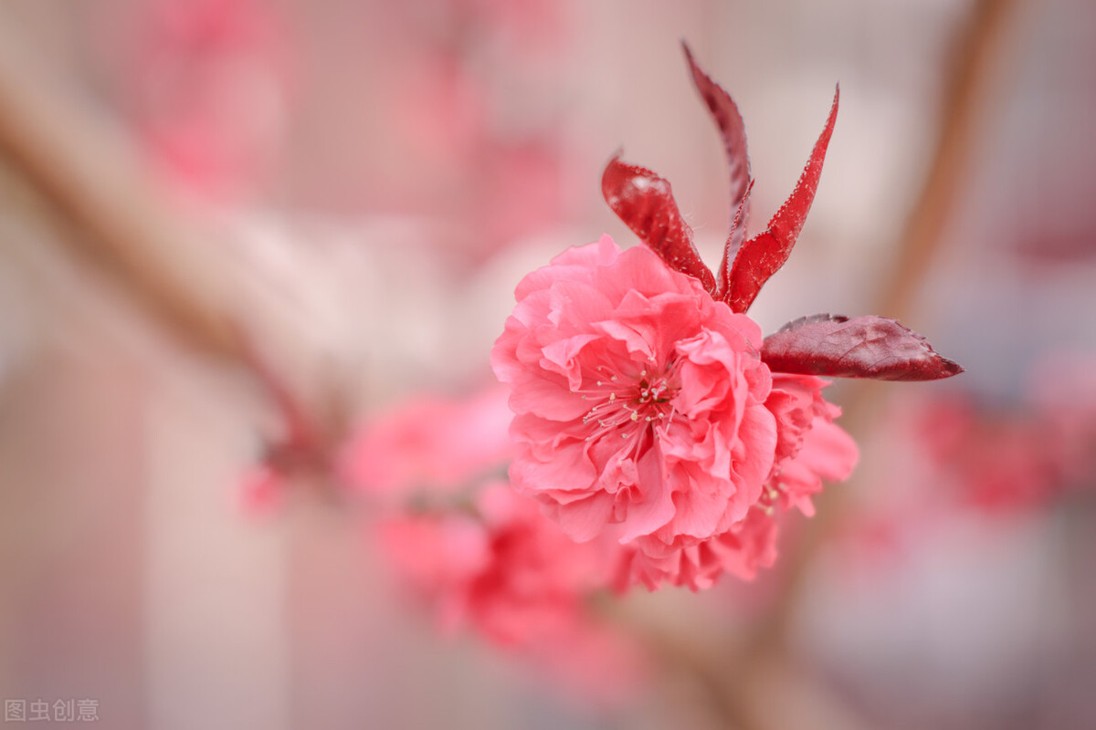 问号的内涵,问号的认识