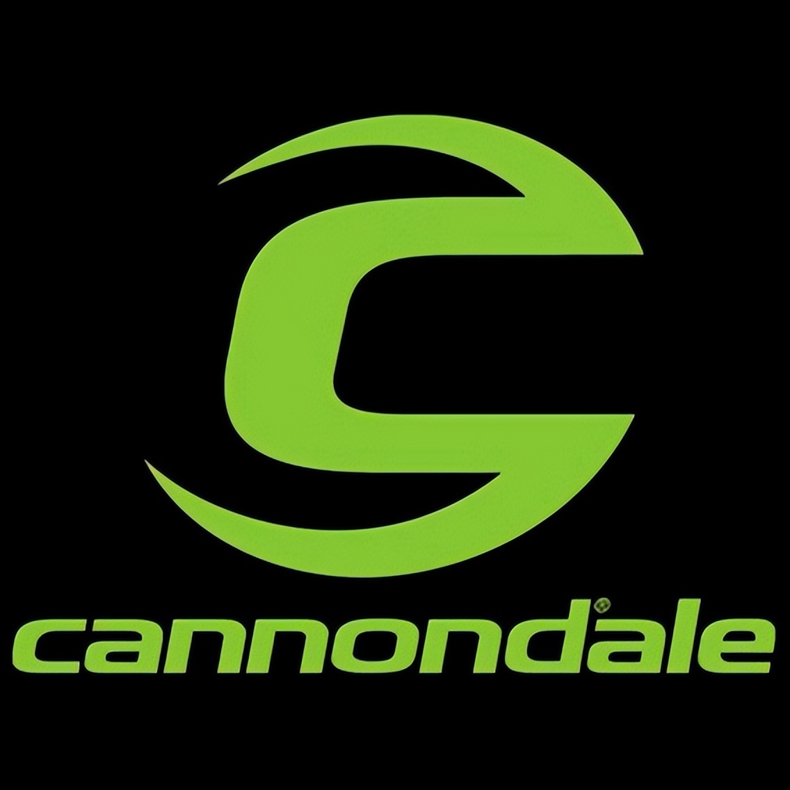 全球自行车十大顶级变速器品牌,双减震儿童山地自行车十大品牌