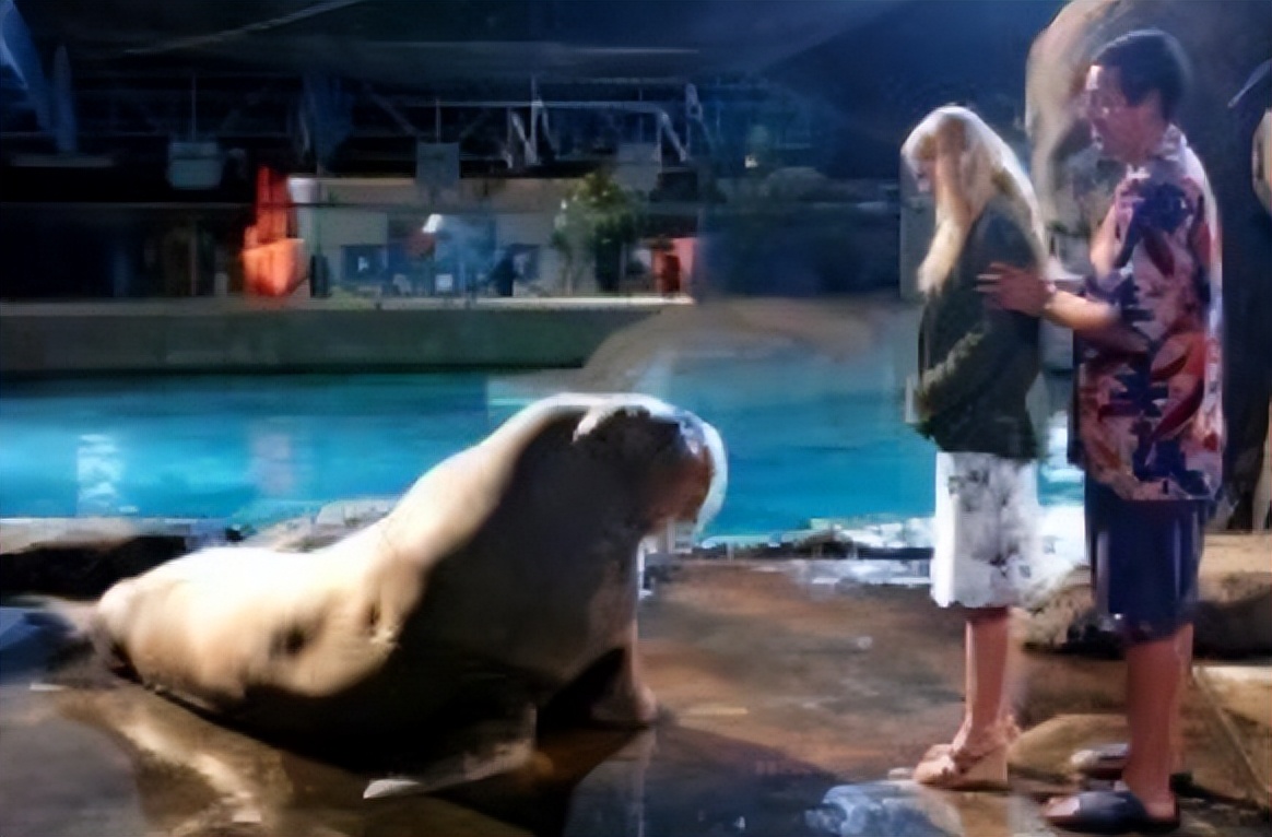 初吻电影片段爱情片,像初恋50次这样经典的爱情电影