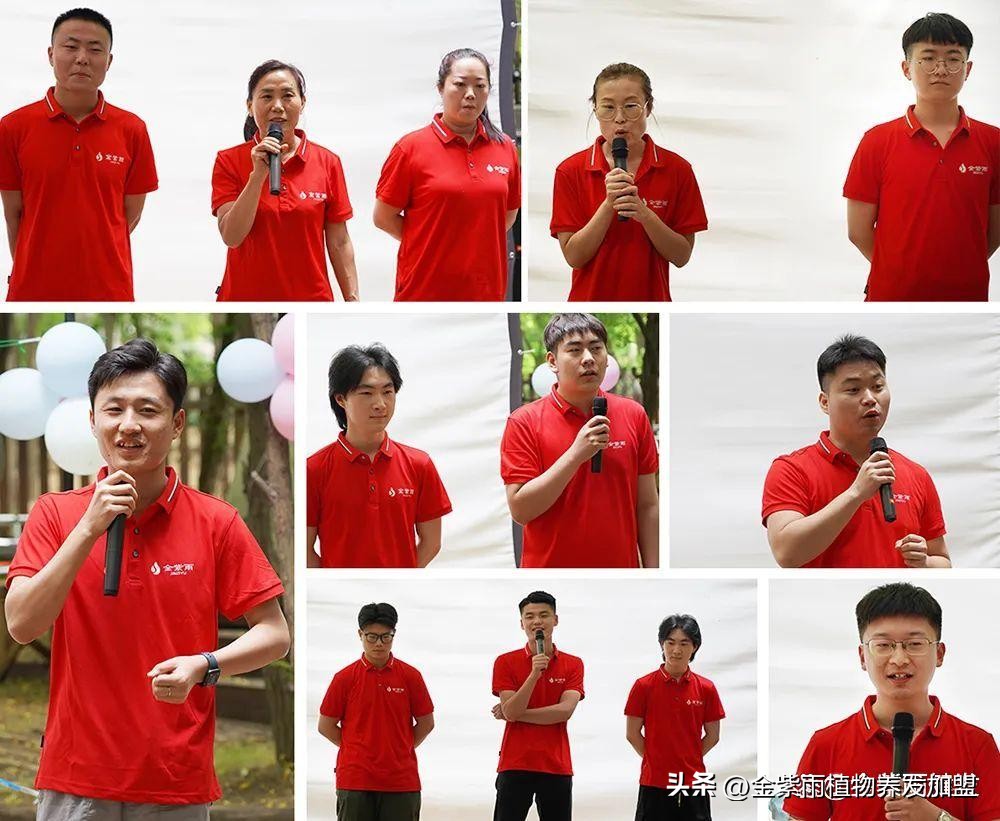 伊莱雅集团直播,伊莱雅集团