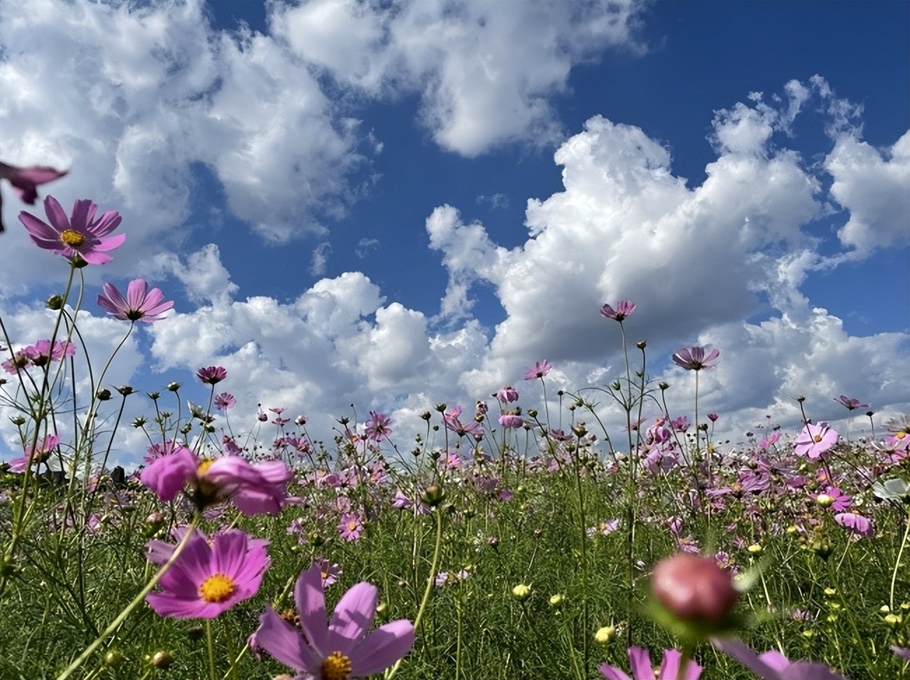 昆明荣获2022年全国第一，重庆、武汉等想要避暑的朋友快看过来