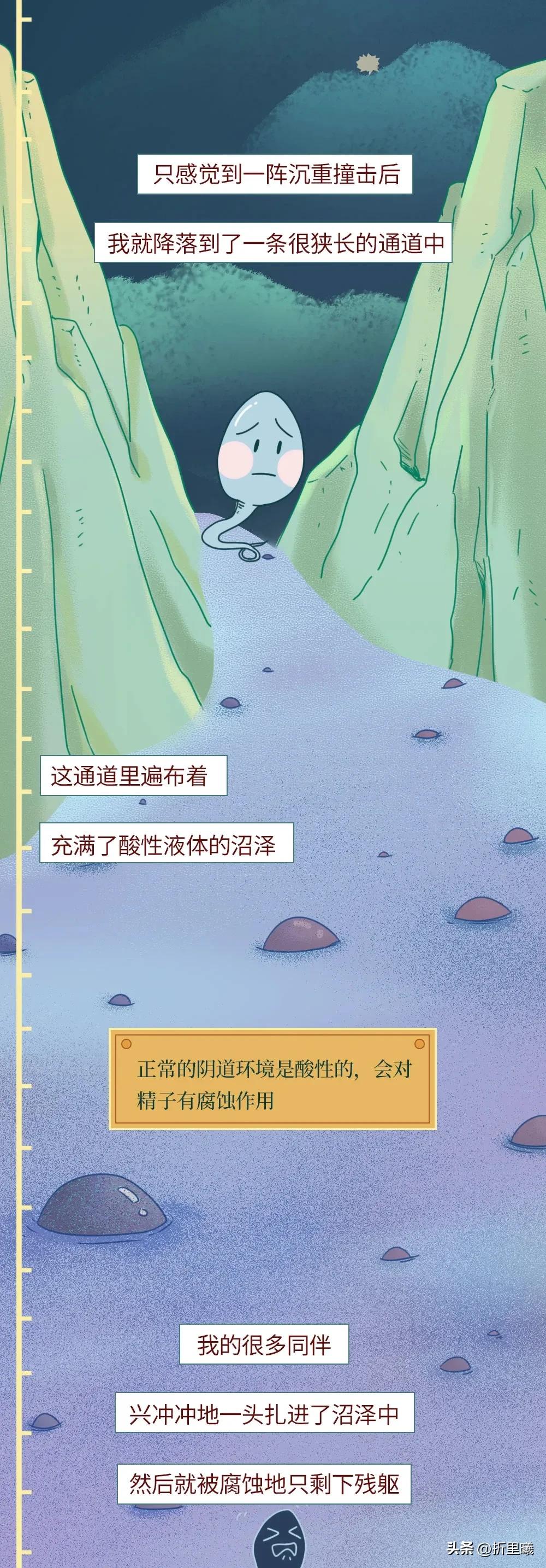 精子进入女生体内的24小时全过程曝光！