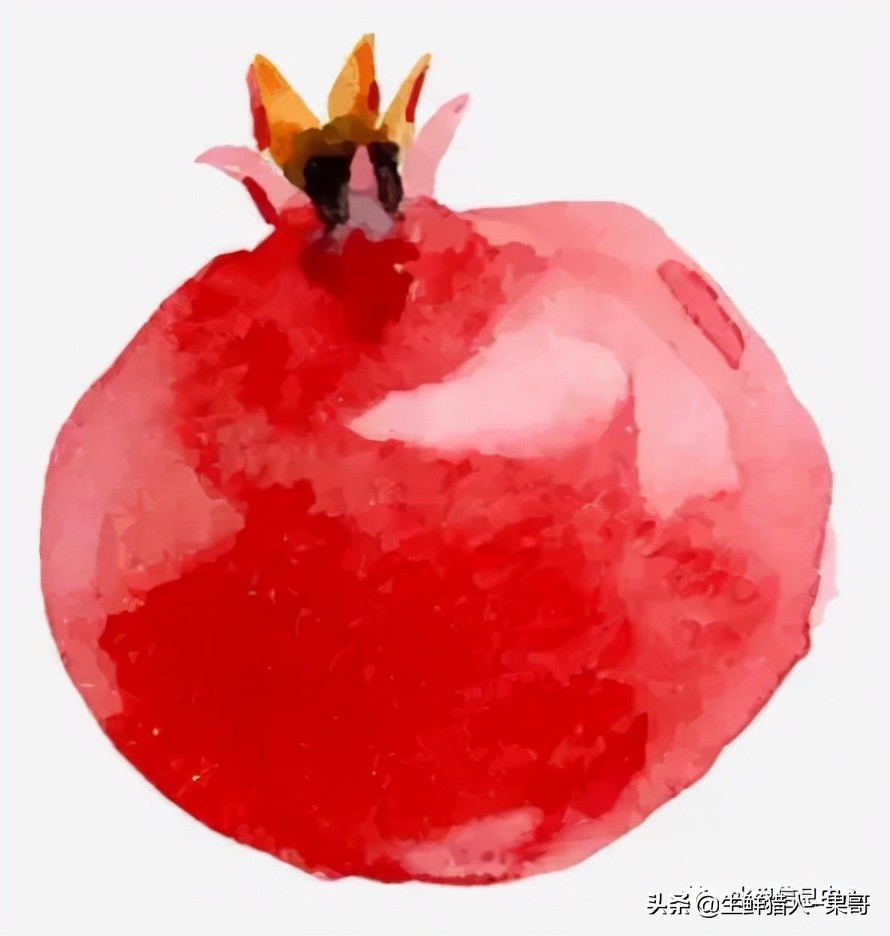 在水果中浆果是分哪几种,水果分类浆果