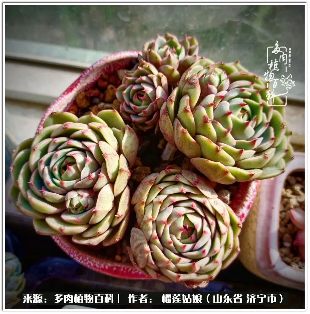 繁花似锦觅安宁淡如流水度一生,繁花似锦觅安宁淡云流水度人生