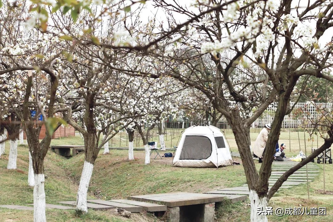 地铁3号线能到的美景地方,一号线地铁直达的风景