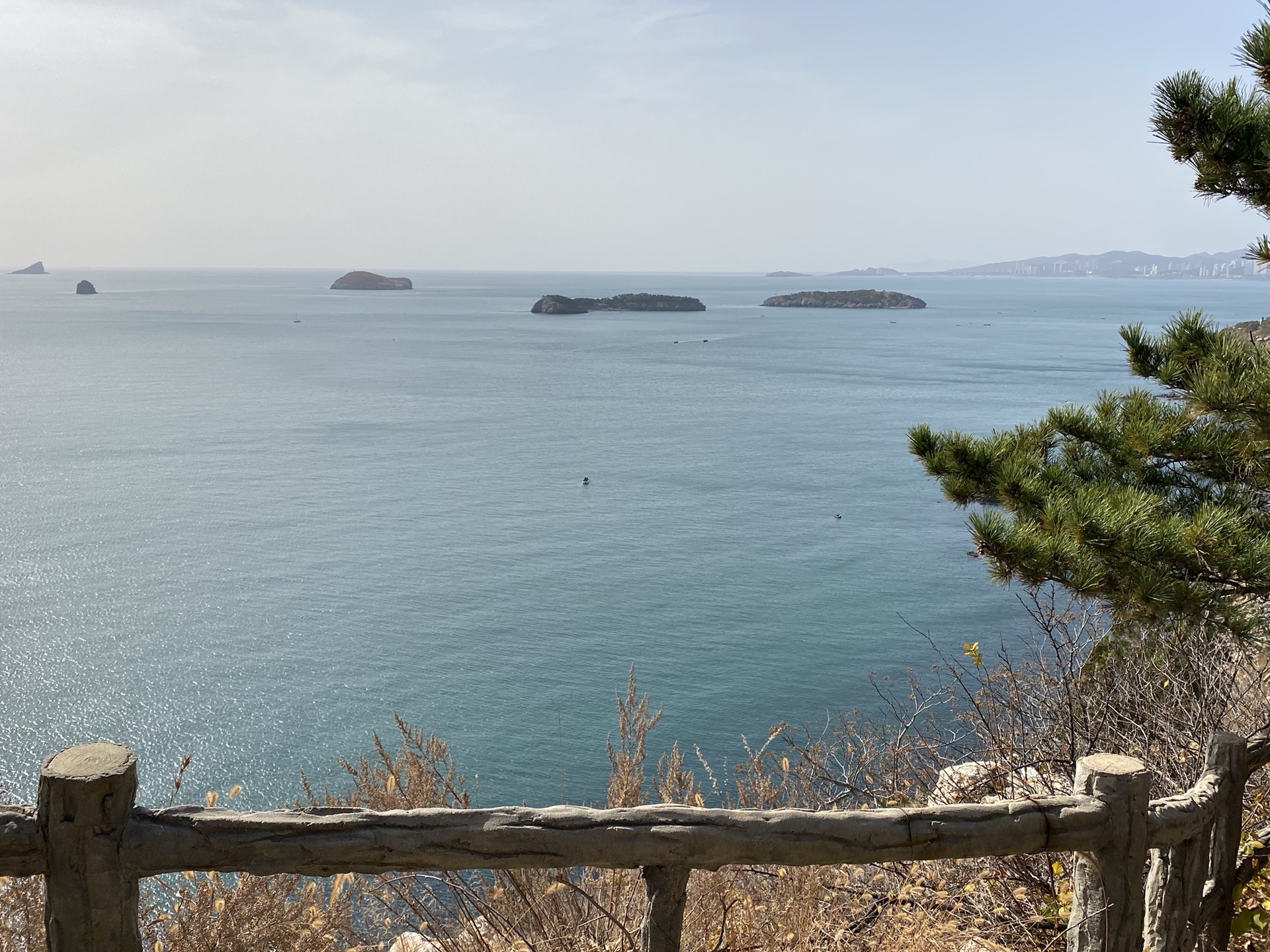 帕萨特1.8t发动机废气阀修理,帕萨特1.8t进气管回火