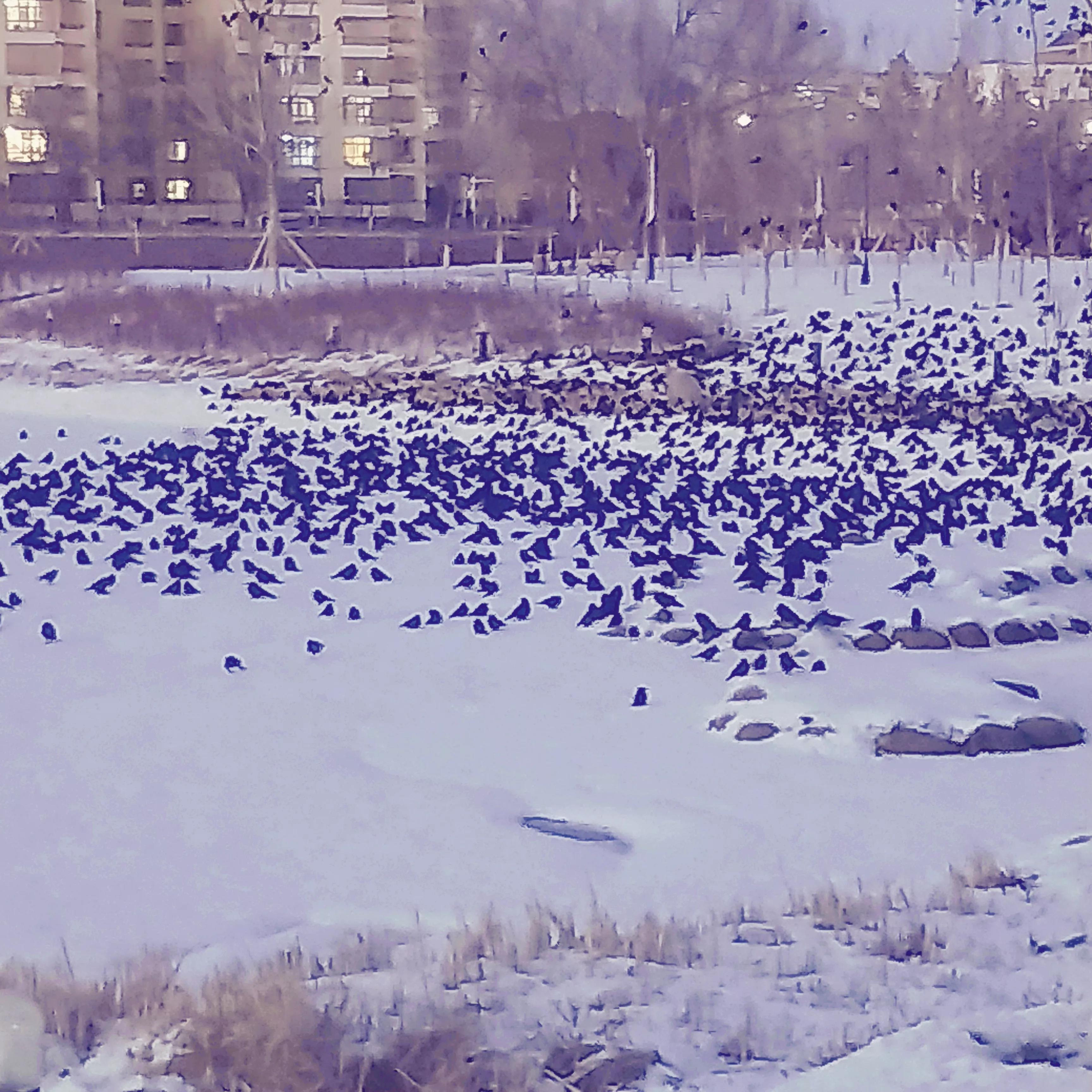 你知道密集恐惧症是什么吗,身体上的密集恐惧症