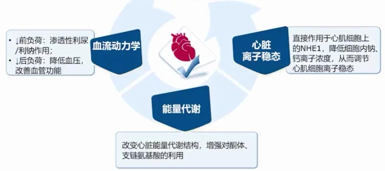 心力衰竭的最新四联疗法,心力衰竭的新四联疗法