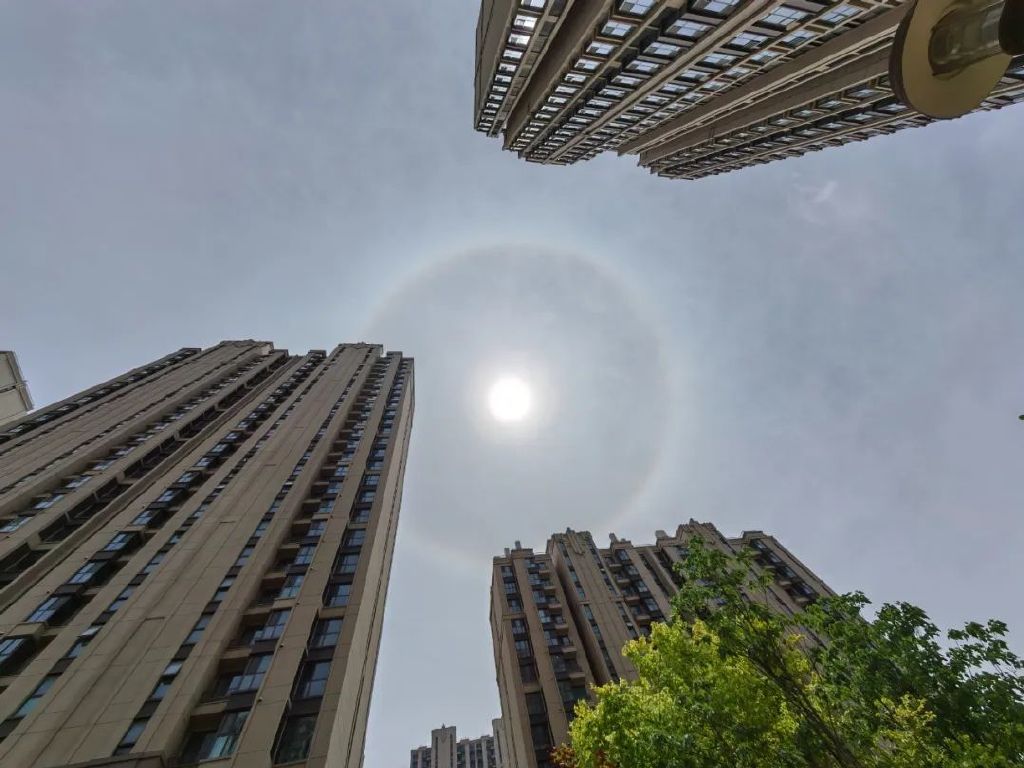 谁是影像机皇,谁才是手机机皇