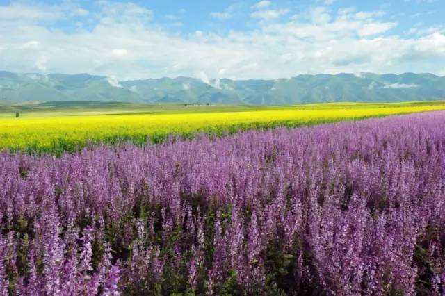 这条惊艳奇绝的公路,行走在天山脊梁上的最美景观公路