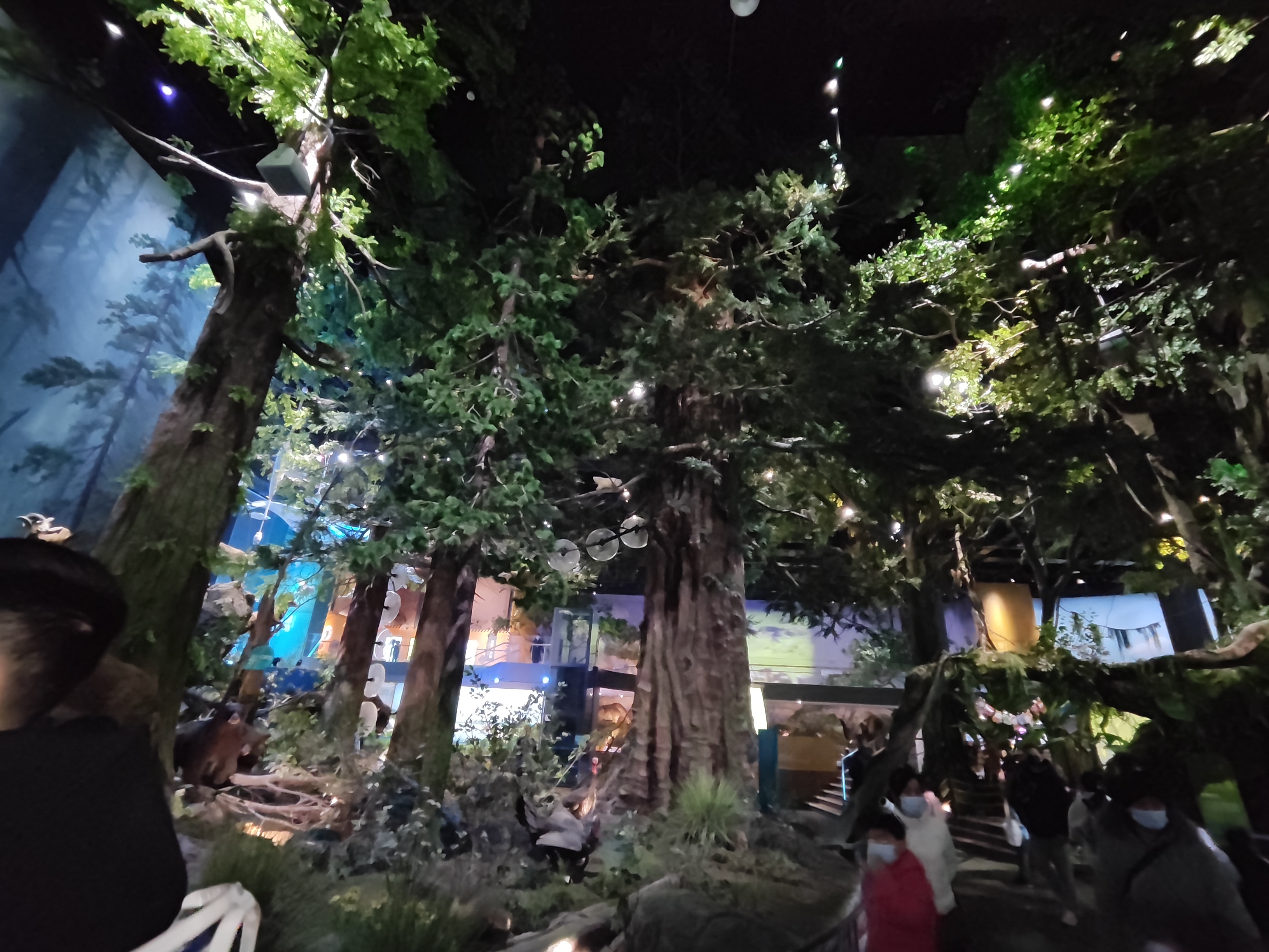 河南省科技馆新馆打卡攻略,河南省科技馆预约门票