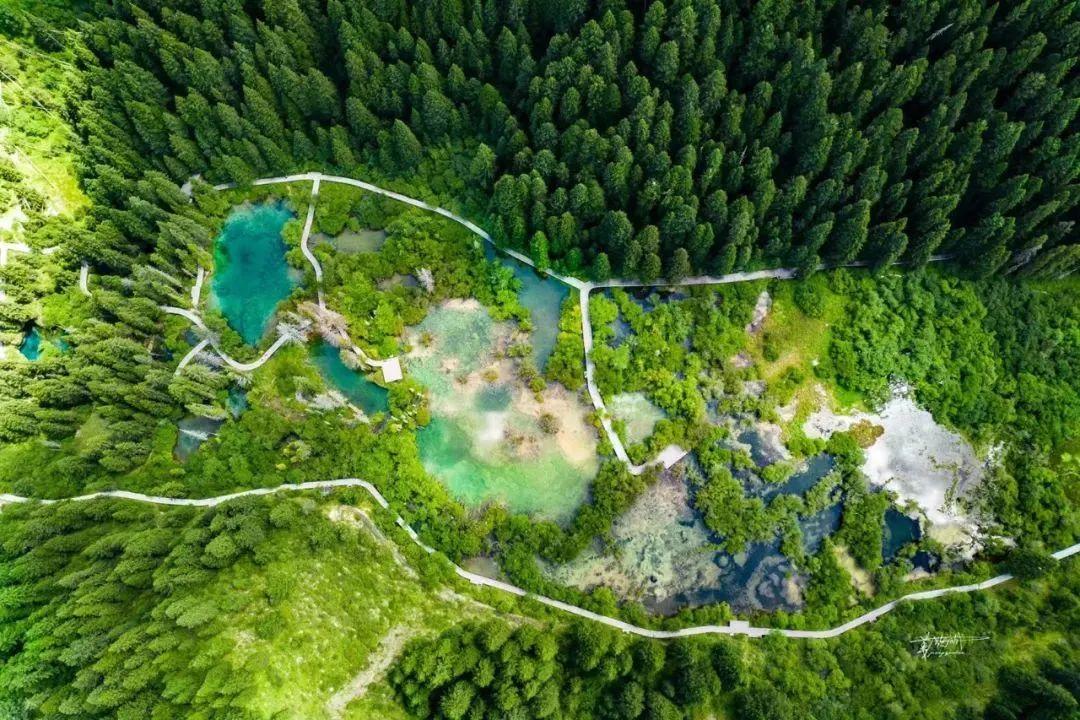 黄龙七天六晚旅游攻略推荐,暑假四川黄龙一线旅游攻略