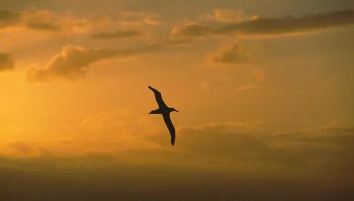 怎么才能长高,怎么才能减肥最快