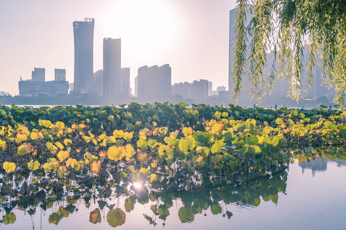 洛阳市2021年重点开工项目有哪些,洛阳市第一批重点建设项目名单