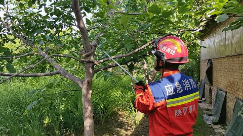 洛阳市幼儿园一键报警,警惕一幼儿园50多名学生感染
