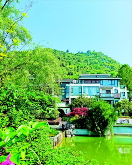 美好生活的追求和向往,美好生活的向往是怎样的