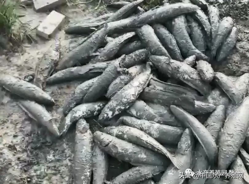 <html>
<head><title>502BadGateway</title></head>
<body>
<center><h1>502BadGateway</h1></center>
<hr><center>nginx</center>
</body>
</html>
<!--apaddingtodisableMSIEandChromefriendlyerrorpage-->
<!--apaddingtodisableMSIEandChromefriendlyerrorpage-->
<!--apaddingtodisableMSIEandChromefriendlyerrorpage-->
<!--apaddingtodisableMSIEandChromefriendlyerrorpage-->
<!--apaddingtodisableMSIEandChromefriendlyerrorpage-->
<!--apaddingtodisableMSIEandChromefriendlyerrorpage-->
