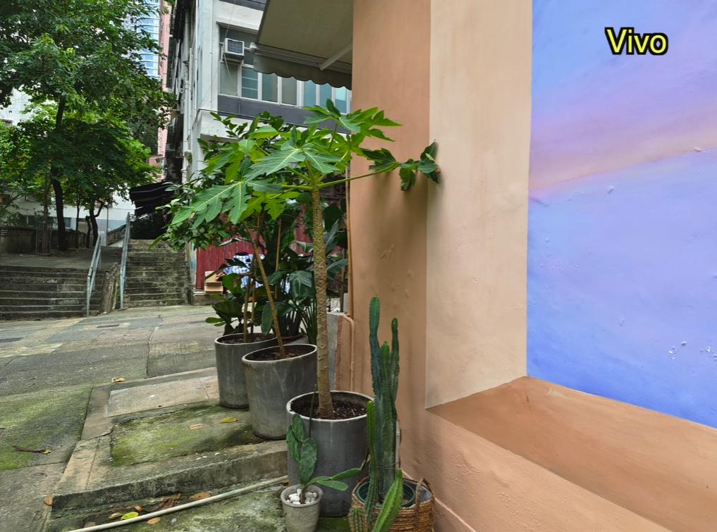 小米12sultra与vivox80pro拍照选哪款,小米12sultra和vivox80pro拍照选哪个