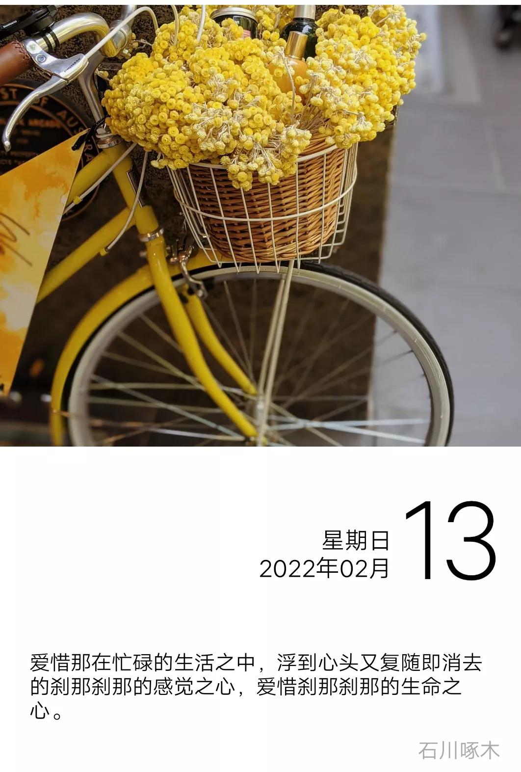 漫长的中场休息读后感,漫长的中场休息txt