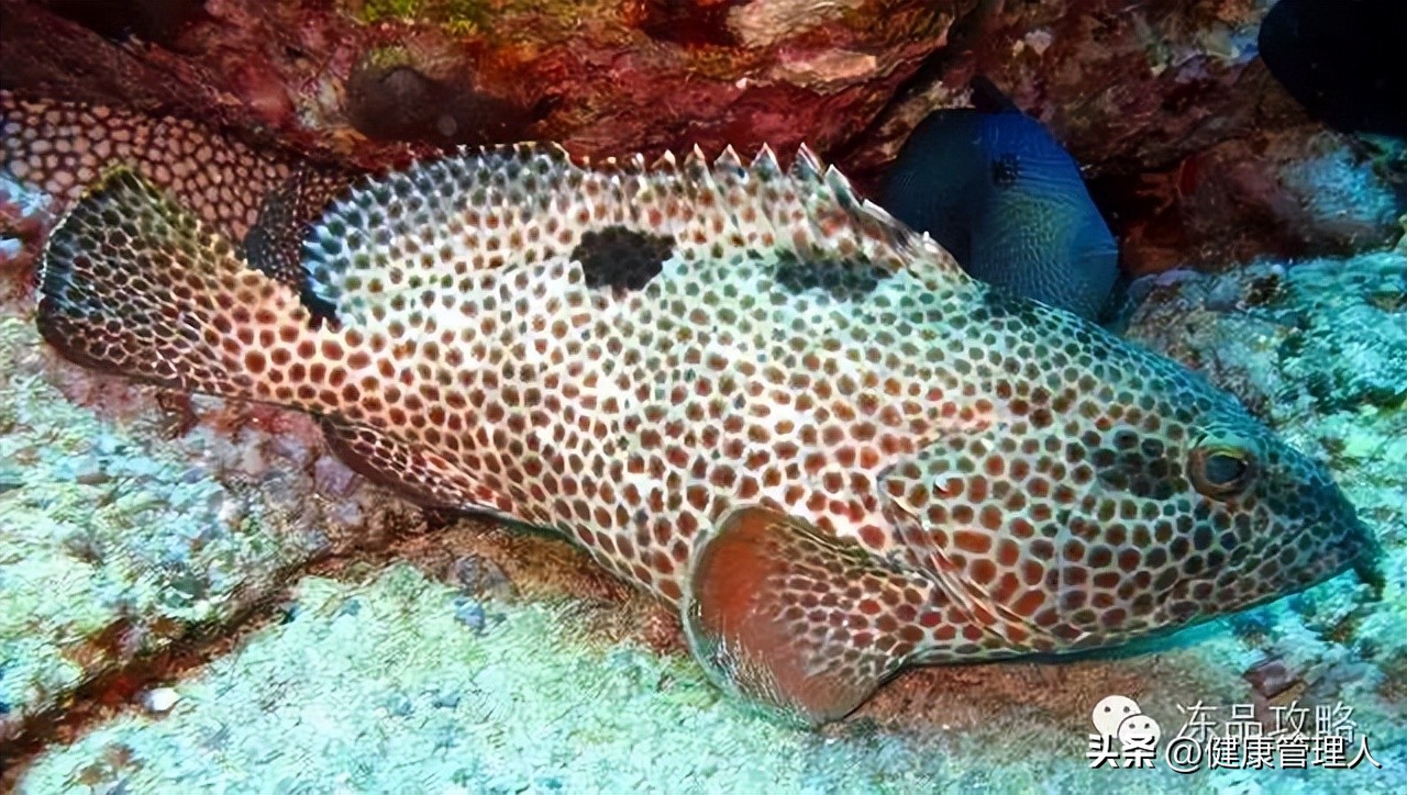 美容护肤食疗方案,美容护肤养生介绍