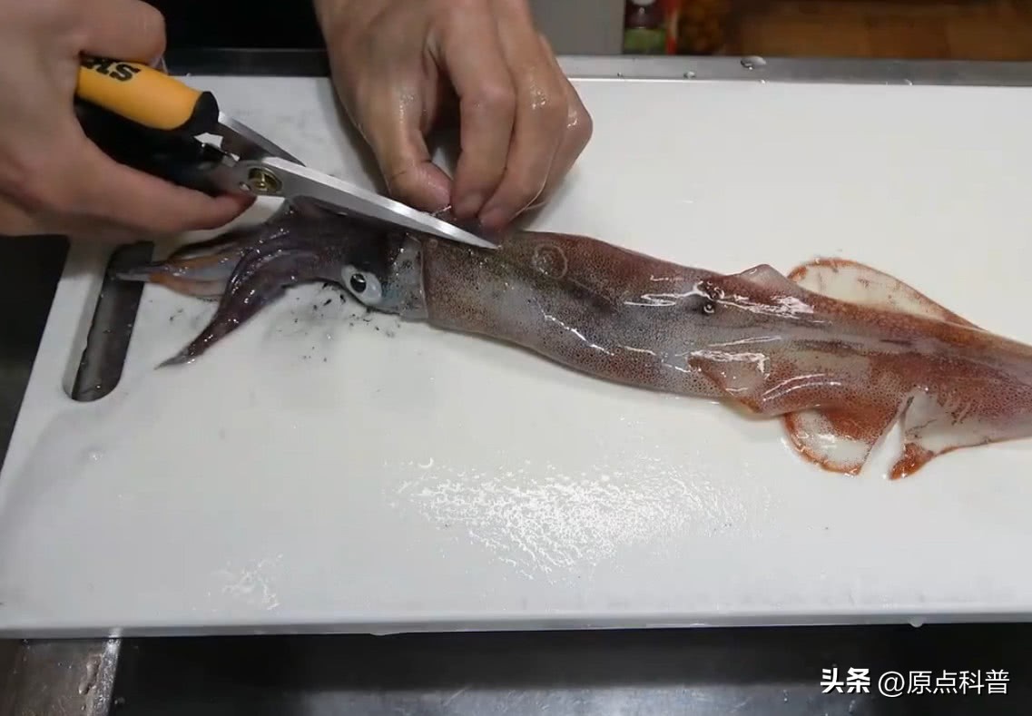 日本100种奇葩美食,日本八大奇葩美食