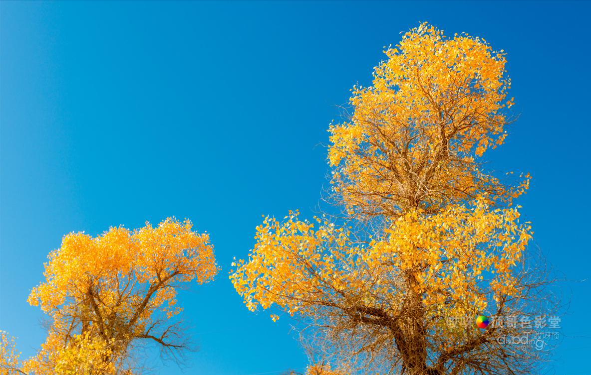 女司机带娃去新疆自驾游,带着女司机自驾游兰州