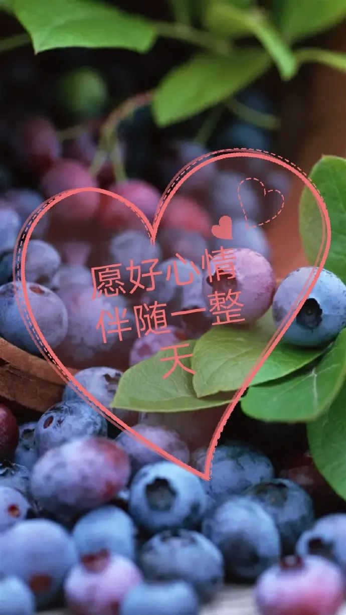 早安心语正能量语录简短句子图片,2020.12.9早安心语正能量走心语录