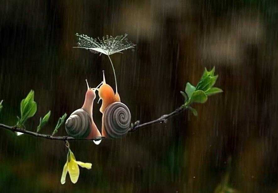 真爱唯一后续,真爱唯一小说完整版