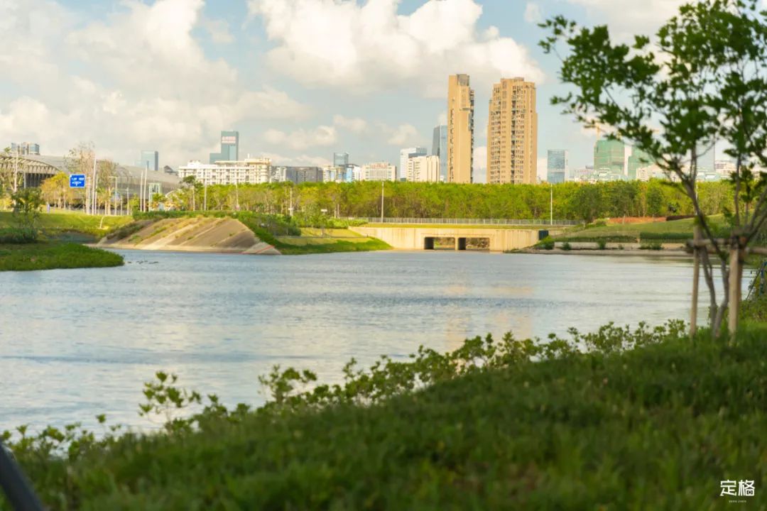 周末来深圳这10个地方免费玩,深圳周末去哪玩免费的地方