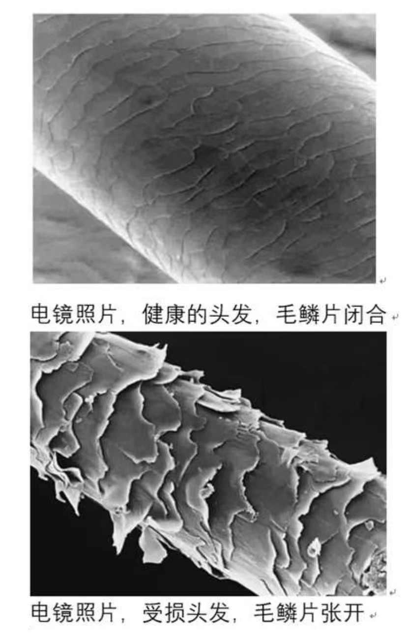 染发怎样能更好的固色小妙招,自己染发怎么护色效果更好