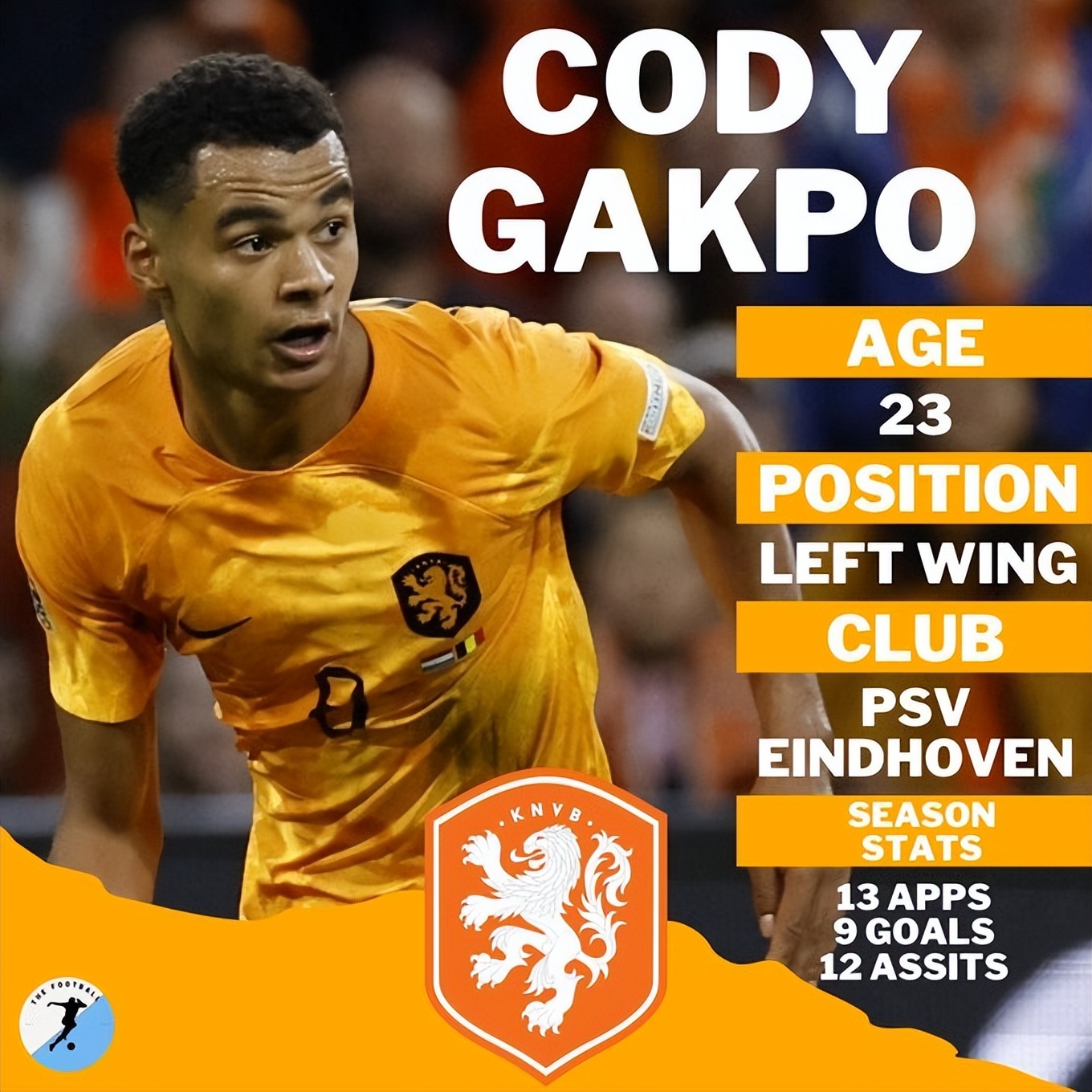 沉寂多年之后，终将高飞？完成换血的“无冕之王”荷兰