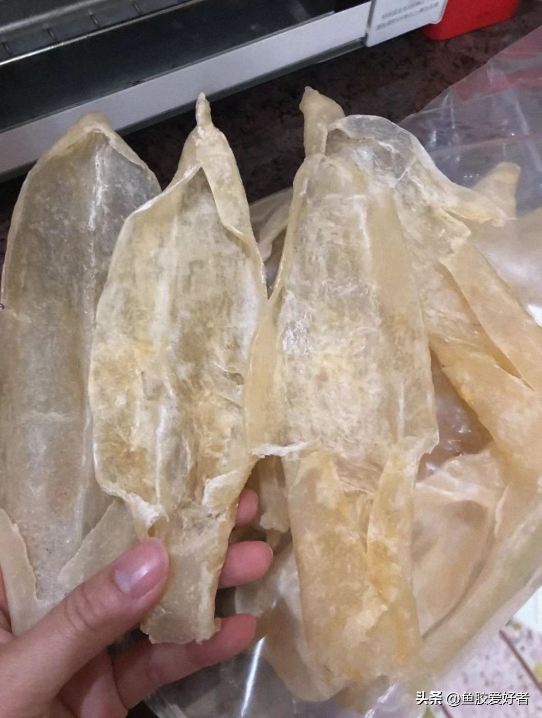 怎么分辨鱼胶好坏区别图解,如何辨别鱼胶的好坏和质量