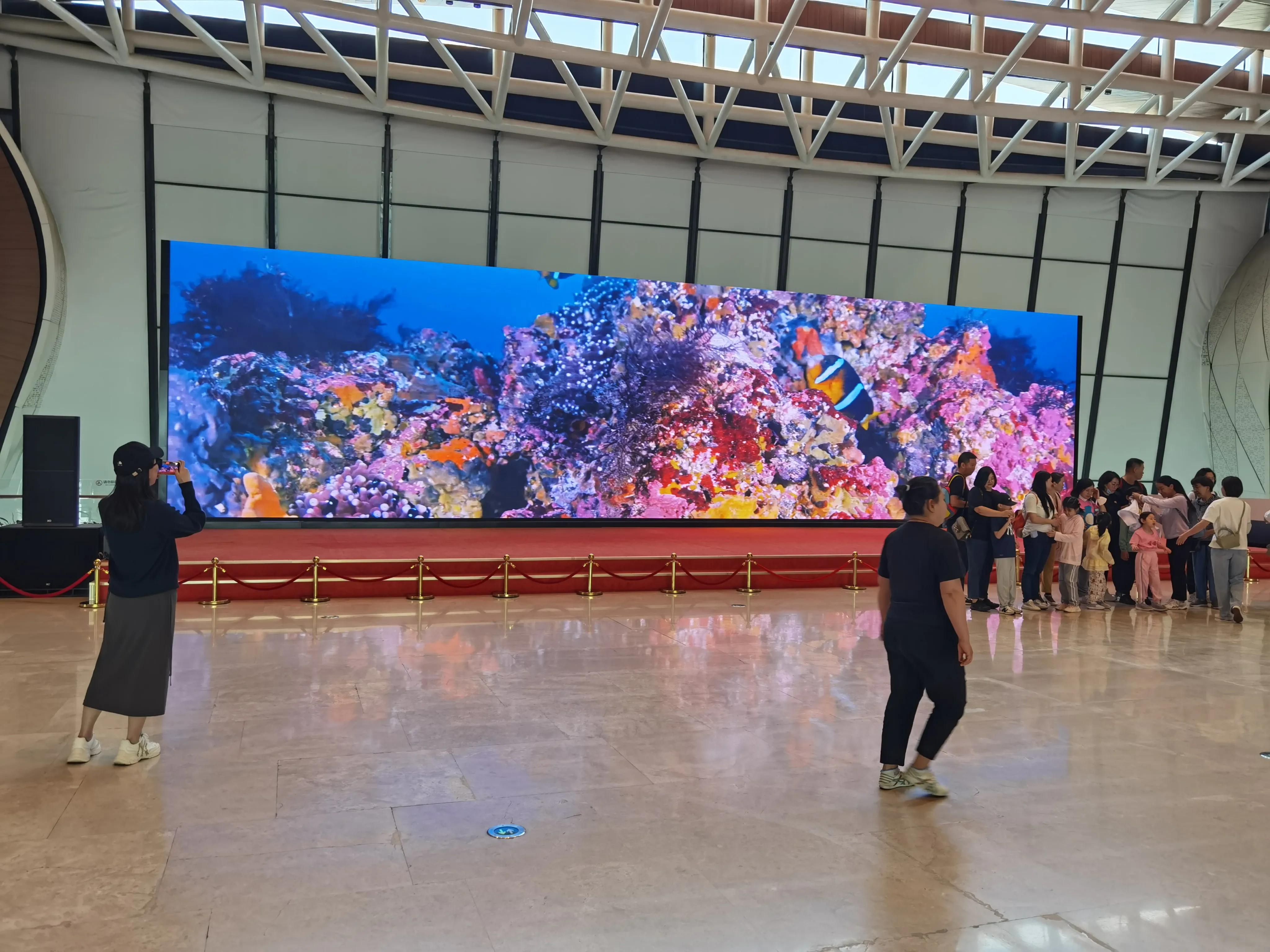 南湾海洋运动公园,国家海洋博物馆周边南湾公园