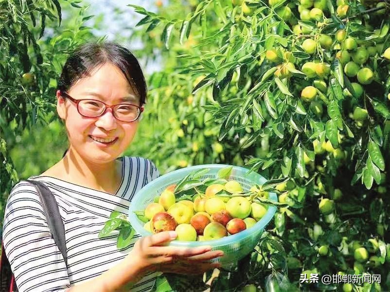 农郊城域——“城市体验官”系列报道之走进邯山区