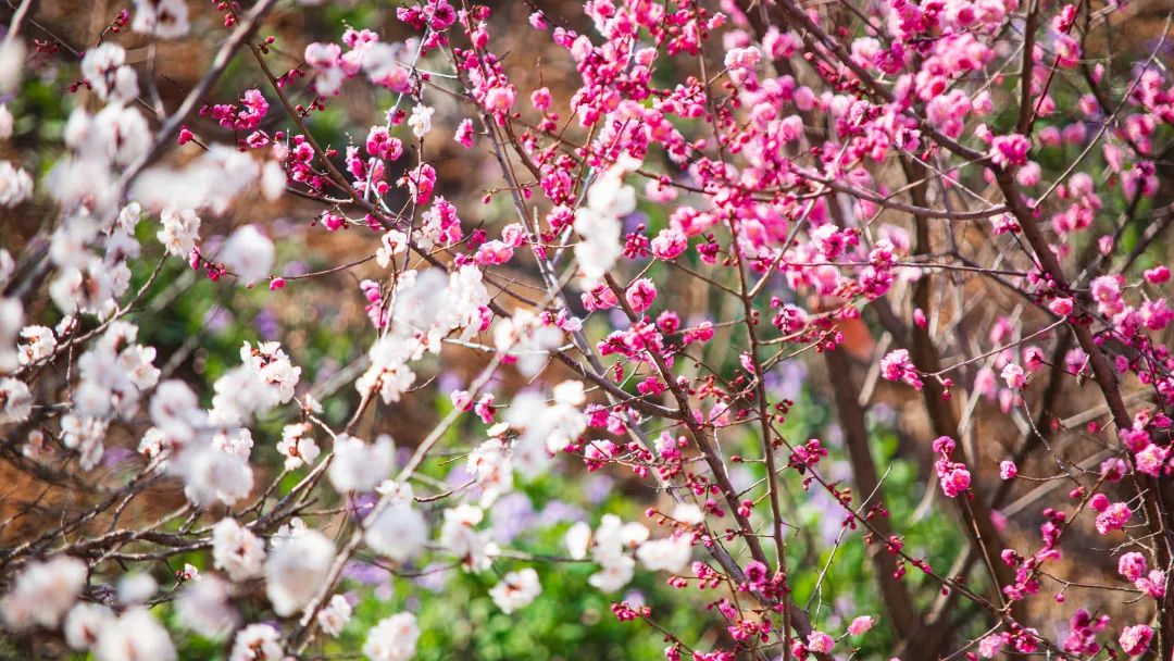 沂蒙山绝美风光,沂蒙山神秘的景点