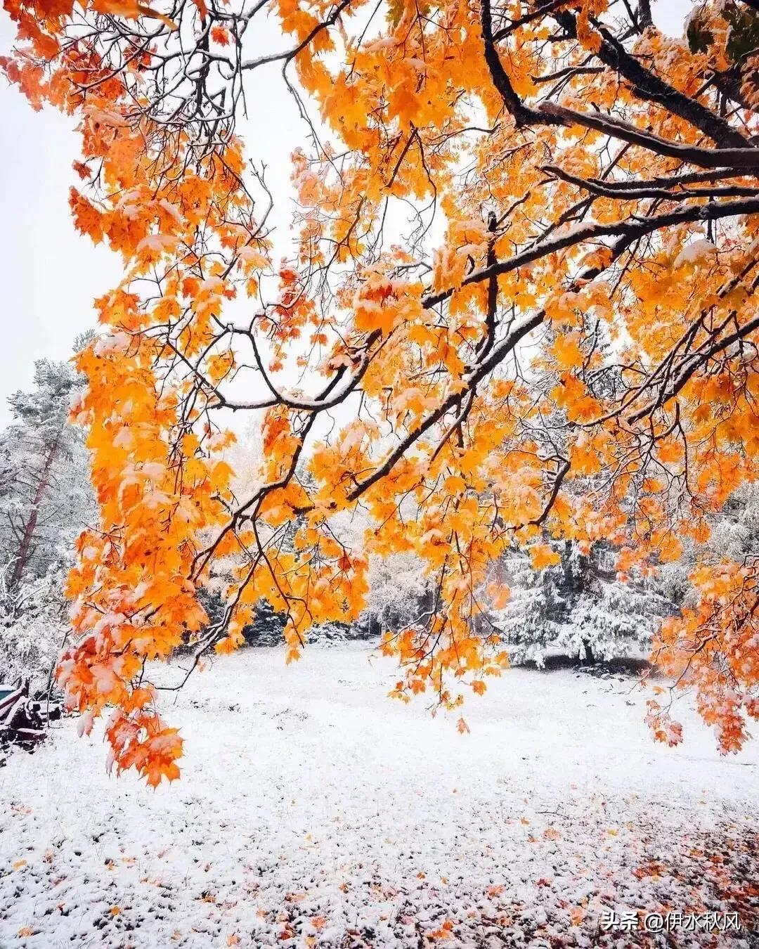 河南新乡返乡防疫规定,河南新乡返乡防疫最新政策